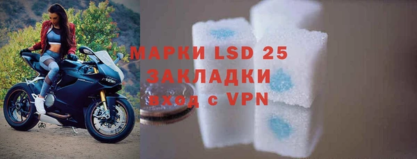 спайс Арсеньев