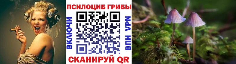 Галлюциногенные грибы Magic Shrooms  гидра ТОР  Калач 
